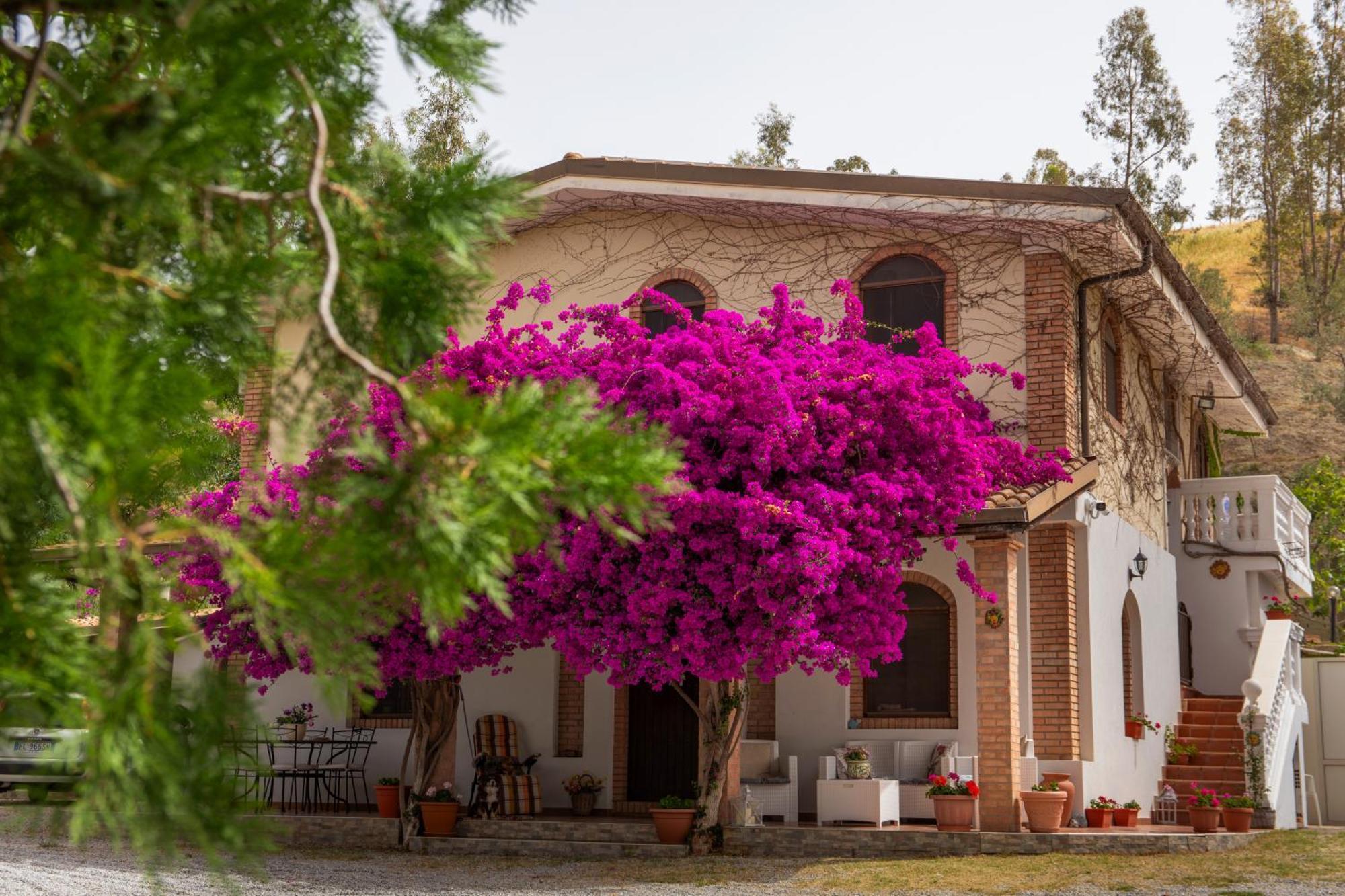 Tenuta Severino Santa Caterina Dello Ionio Marina Exterior foto